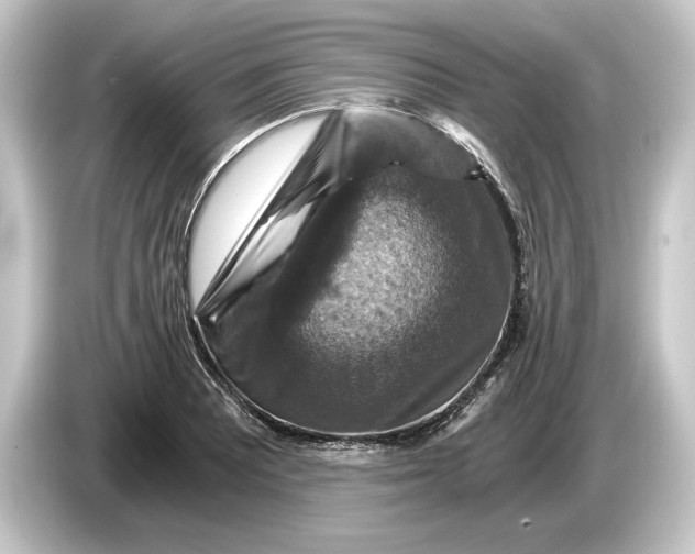 X0000084531081200703161603