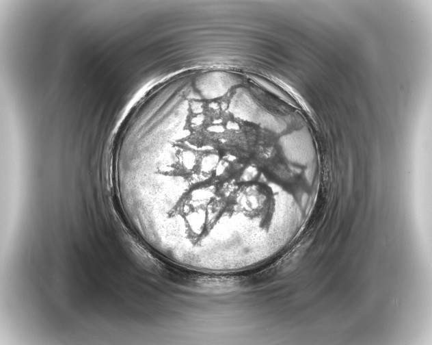 X0000084531083200703161603