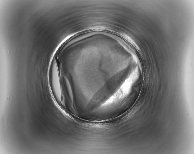 X0000084531084200703161603