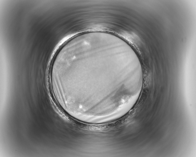 X0000084531086200703161603