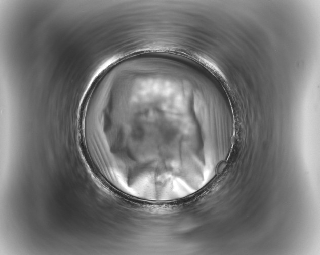 X0000084531087200703161603