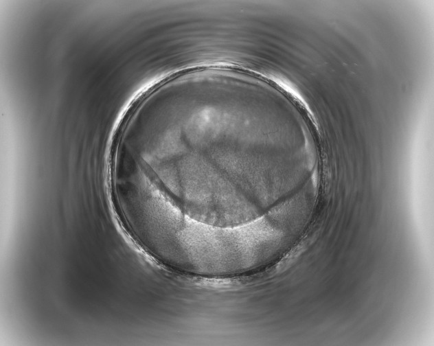 X0000084531088200703161603