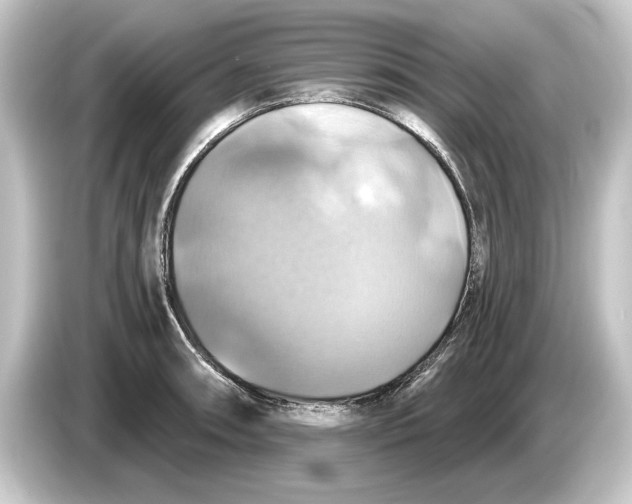 X0000084531090200703161603