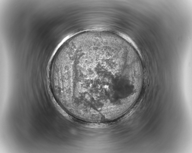 X0000084531091200703161603