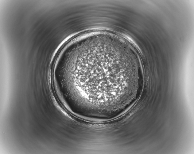 X0000084531092200703161603