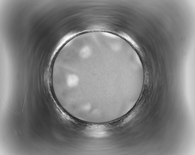 X0000084531094200703161603