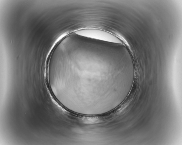 X0000084531095200703161603