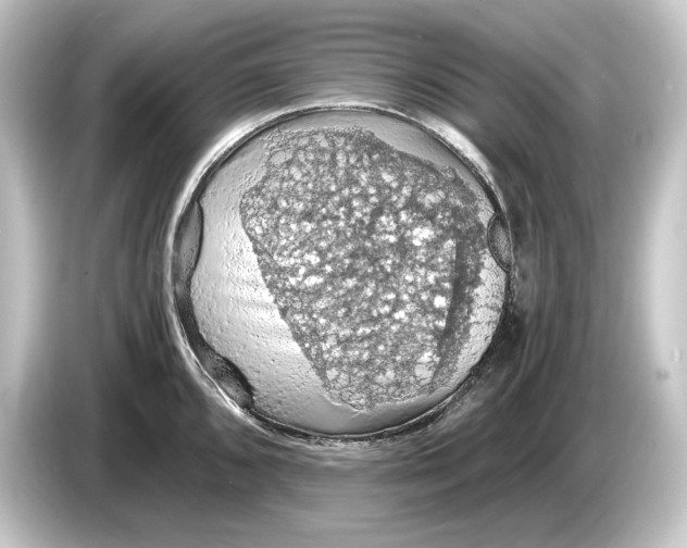 X0000084531096200703161603