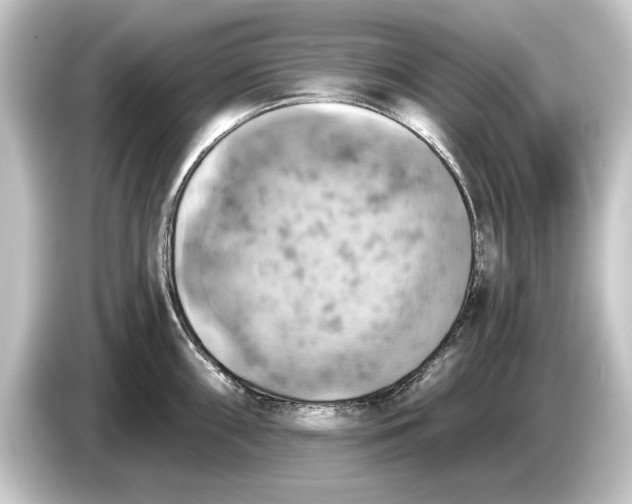 X0000084531098200703161603