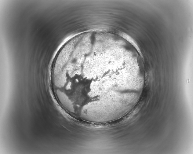 X0000084531099200703161603