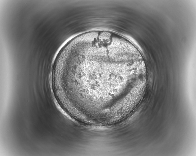 X0000084531100200703161603