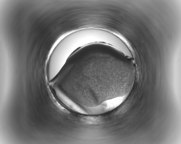 X0000084531102200703161603