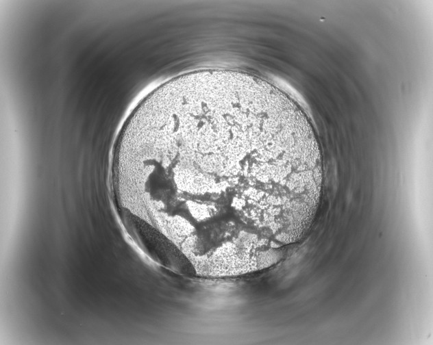 X0000084531103200703161603