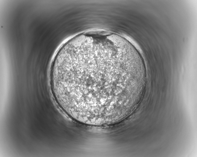 X0000084531104200703161603