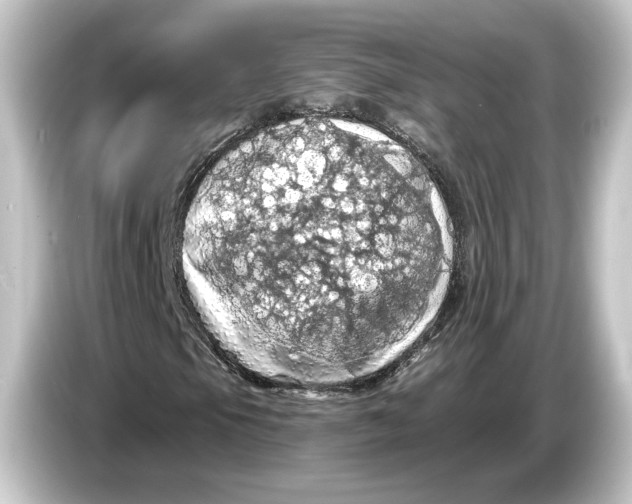 X0000084531105200703161602