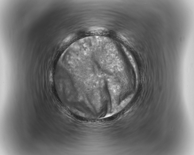 X0000084531106200703161602