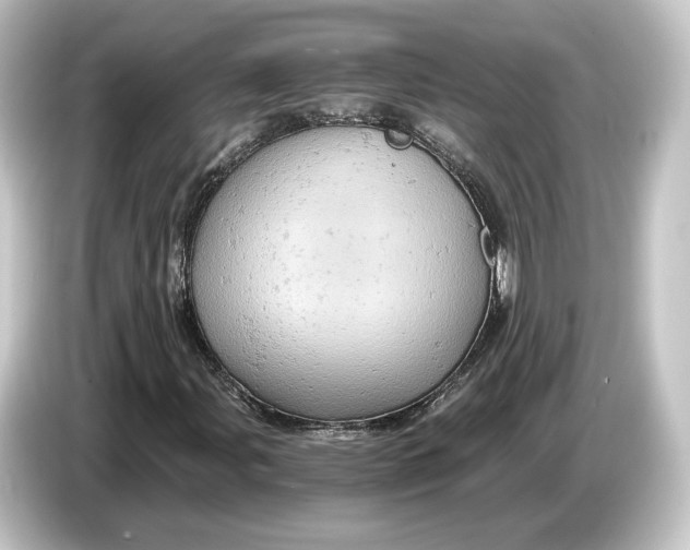 X0000084531107200703161602