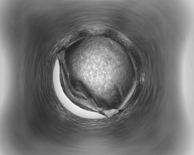 X0000084531108200703161602