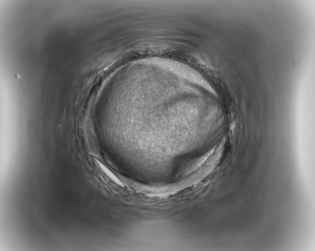 X0000084531109200703161602