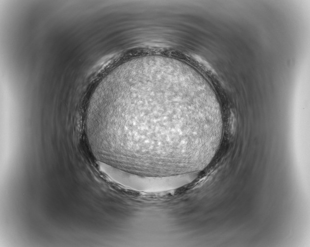 X0000084531110200703161602