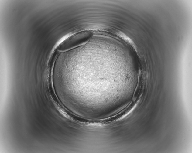 X0000084531114200703161602