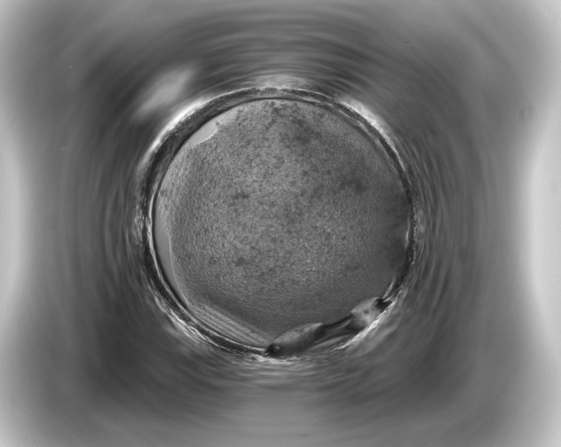 X0000084531115200703161602