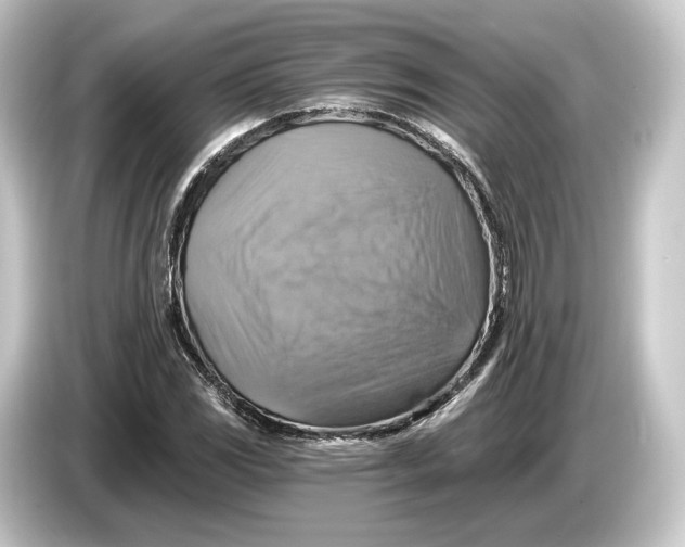 X0000084531117200703161602