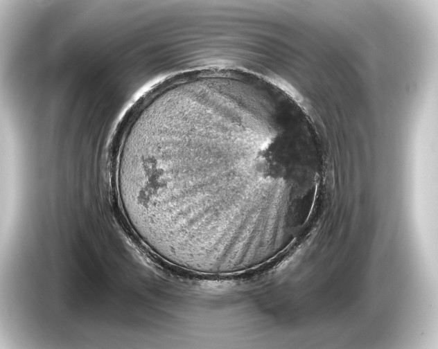 X0000084531118200703161602