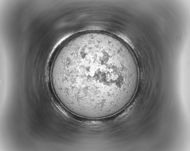 X0000084531119200703161602