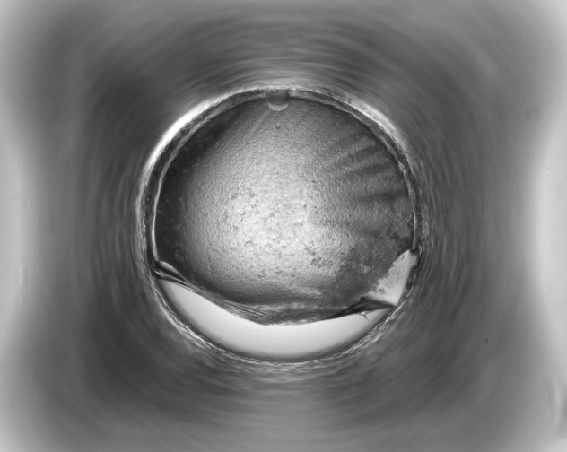 X0000084531120200703161602