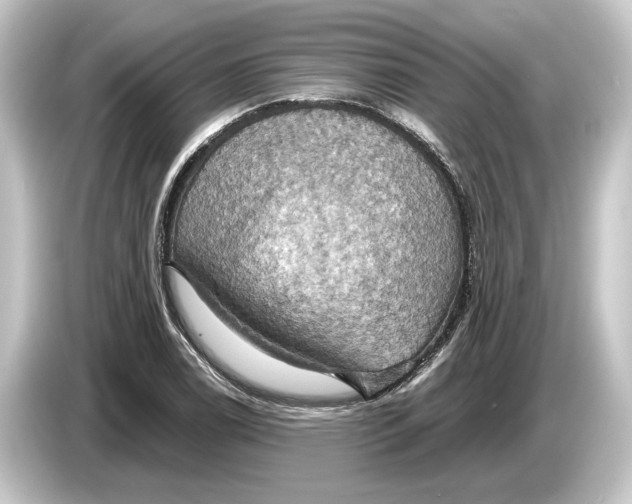 X0000084531122200703161602