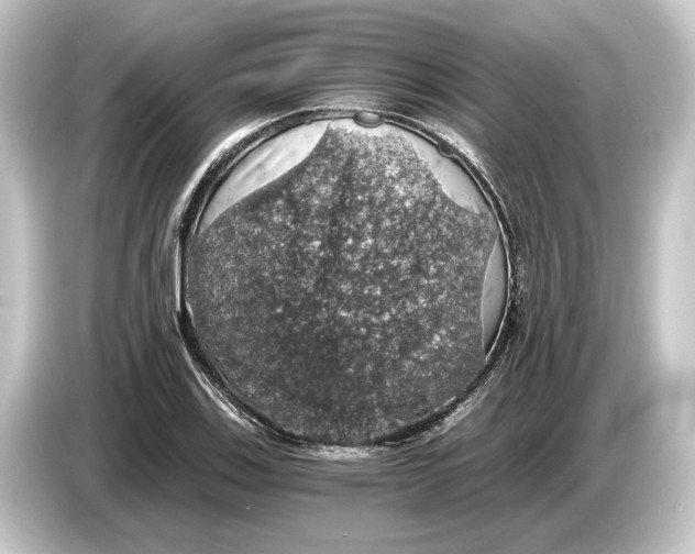 X0000084531123200703161602