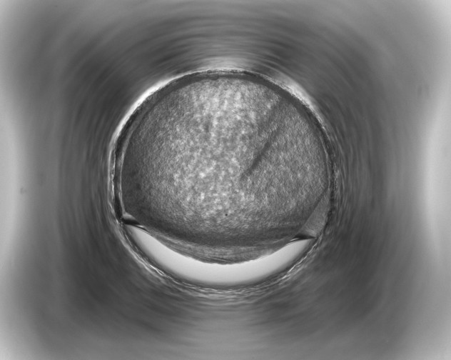 X0000084531124200703161602