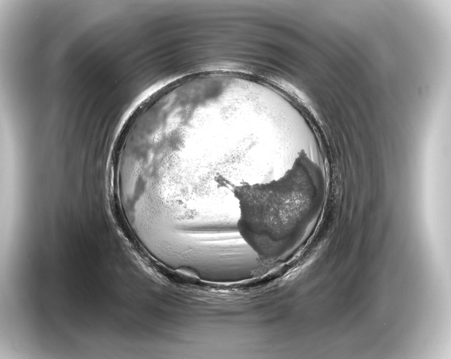 X0000084531125200703161602