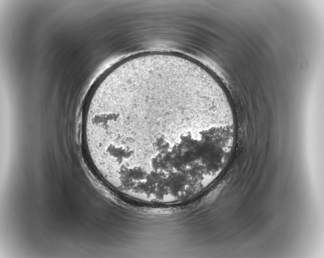 X0000084531126200703161602