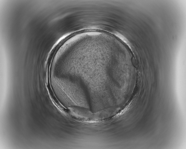 X0000084531127200703161602