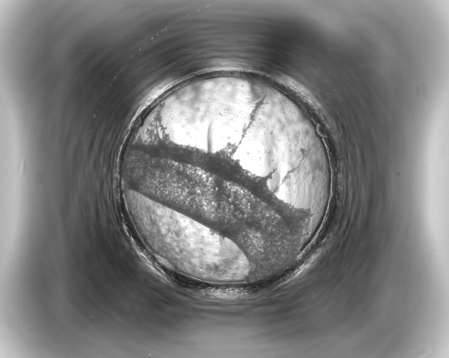 X0000084531129200703161602