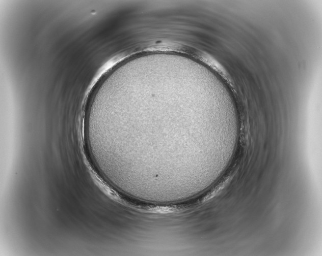 X0000084531130200703161602