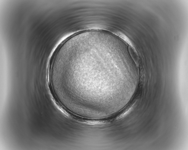 X0000084531132200703161603