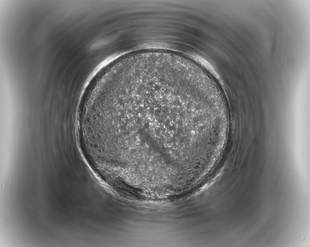 X0000084531133200703161603