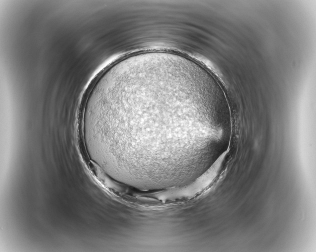 X0000084531134200703161603