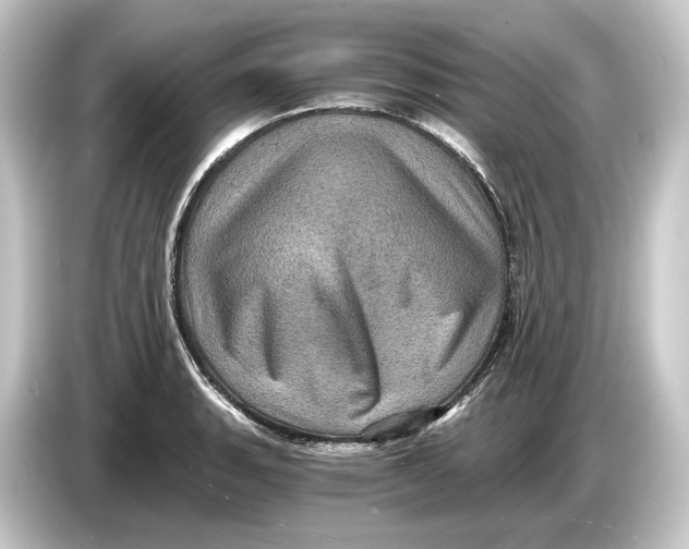 X0000084531135200703161603