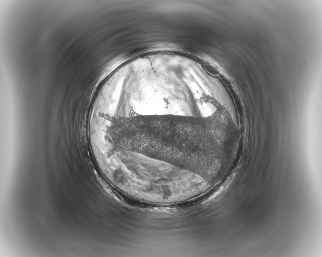 X0000084531137200703161603