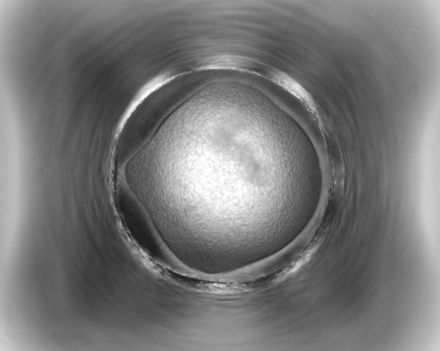 X0000084531138200703161603