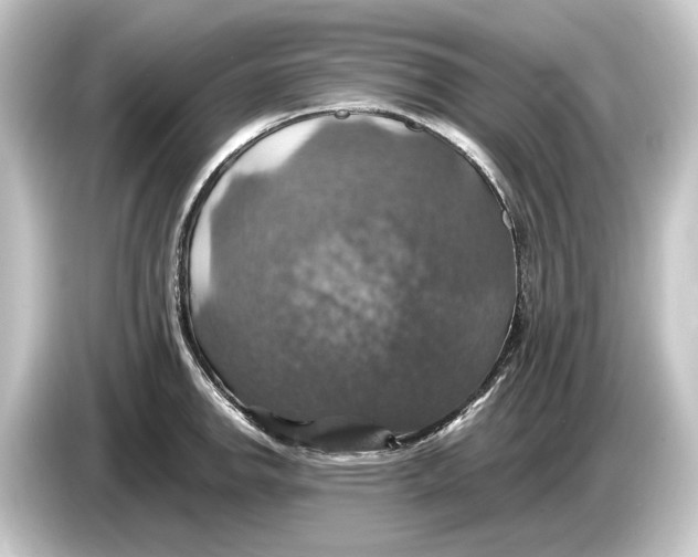 X0000084531142200703161603