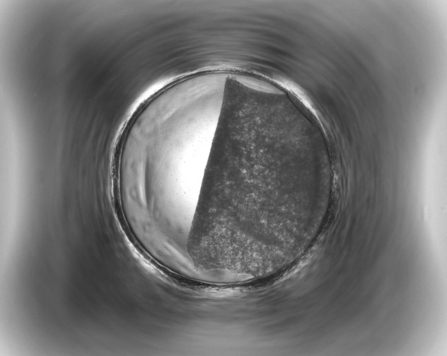 X0000084531143200703161603