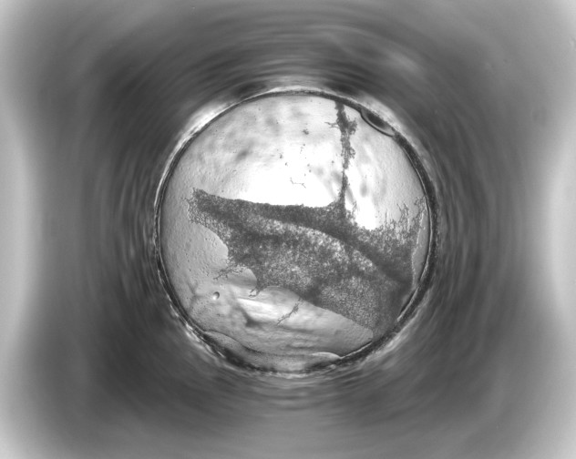 X0000084531145200703161603