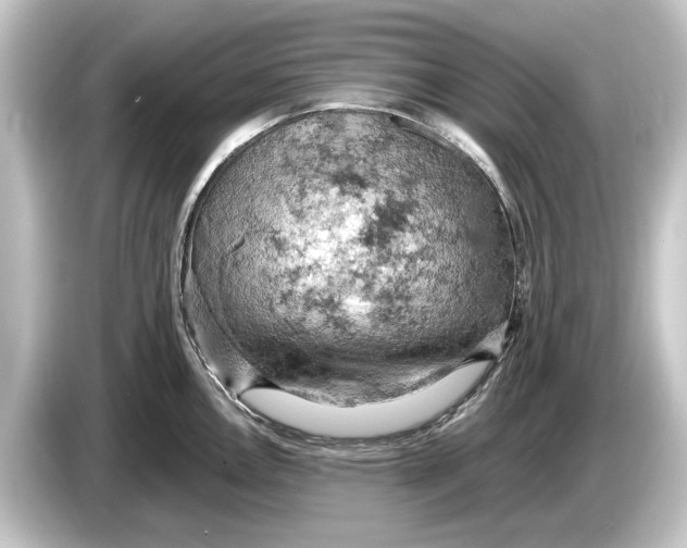 X0000084531146200703161603