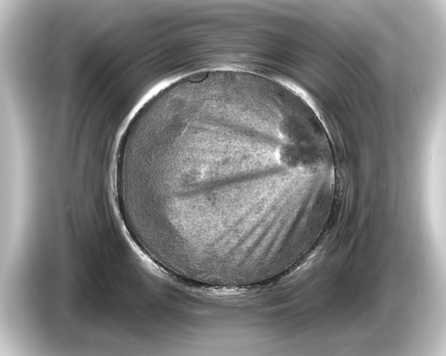 X0000084531147200703161603