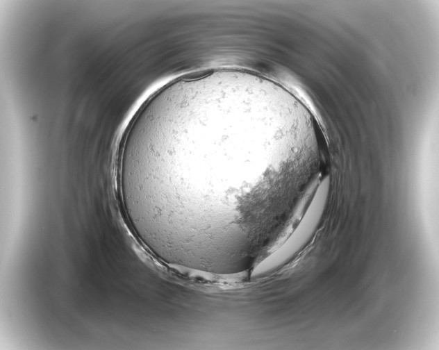 X0000084531148200703161603